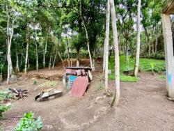 Casa para Venda em Campos do Jordão - 5