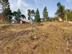 Terreno para Venda em Campos do Jordão - 5